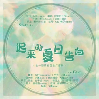 迟来的夏日告白原封面